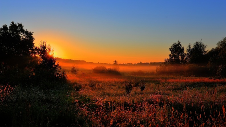 sun lighting field orange-nature HD wallpaper Wallpaper 2560x1600[10wallpaper.com]